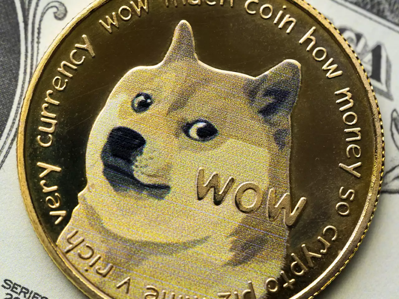 Dogecoin as Legal Tender in California? This Senate Candidate Wants to Make It Happen