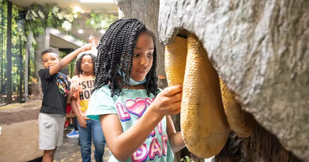 Kids Nature Lunch & Learn Series kicks off at Cleveland Metroparks locations this summer