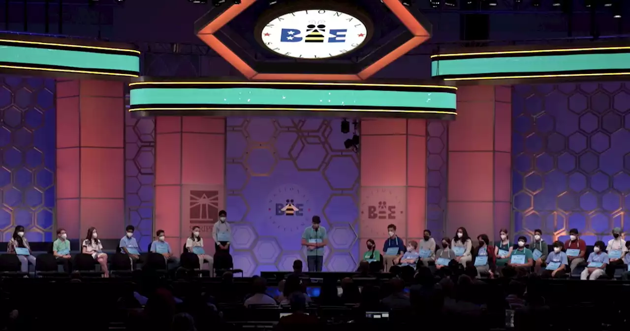 Behind the scenes of the Scripps Spelling Bee with LeVar Burton