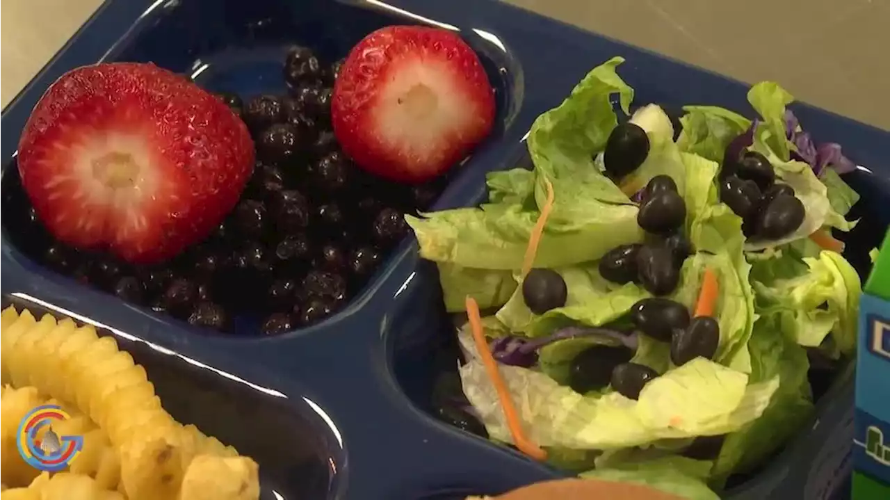 Students could lose access to free school lunches when a key federal program expires June 30th