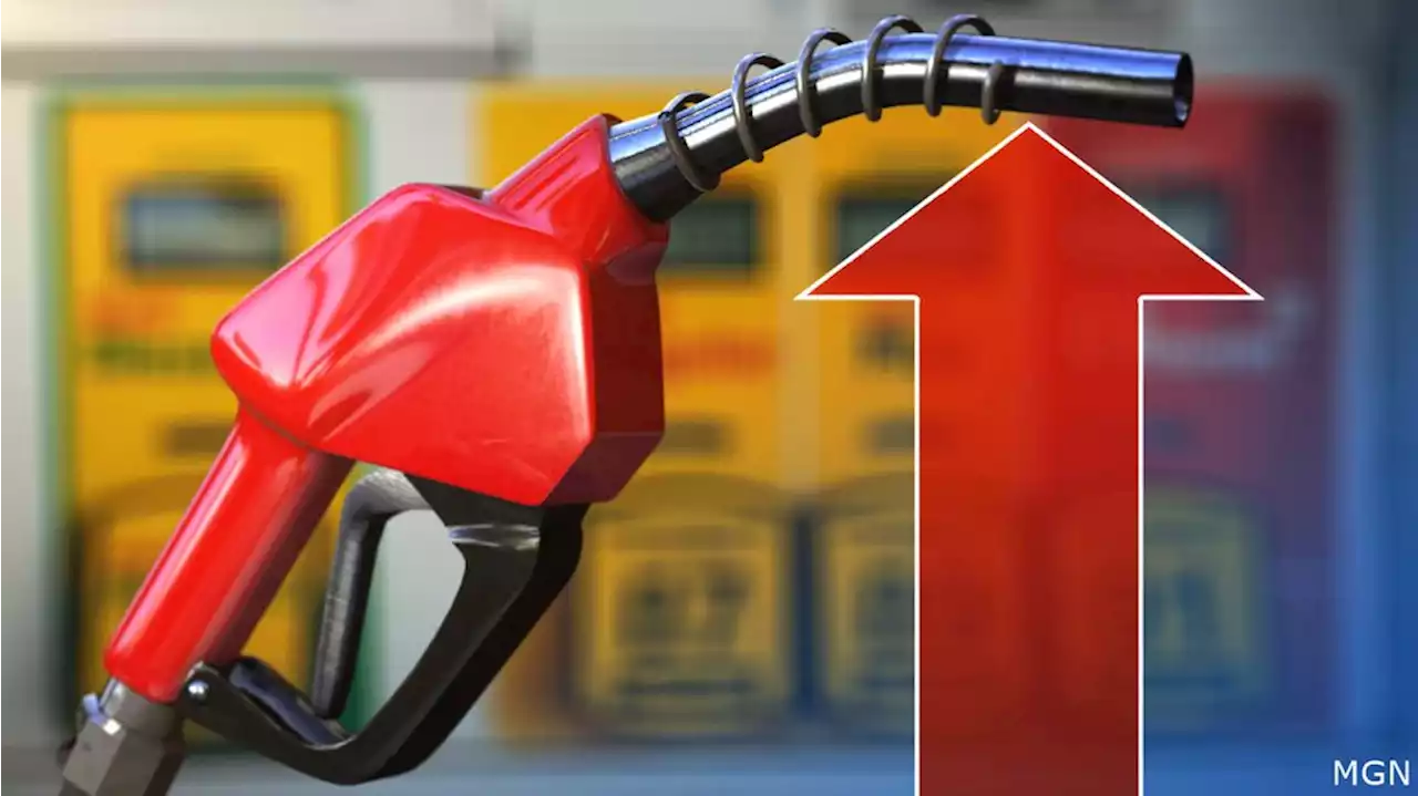 US gas prices jump to record highs