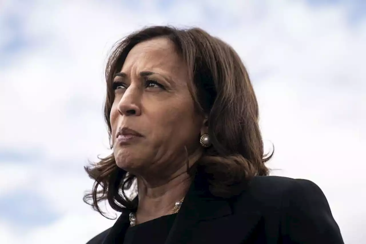 Kamala Harris to announce student loan relief for California's Corinthian Colleges