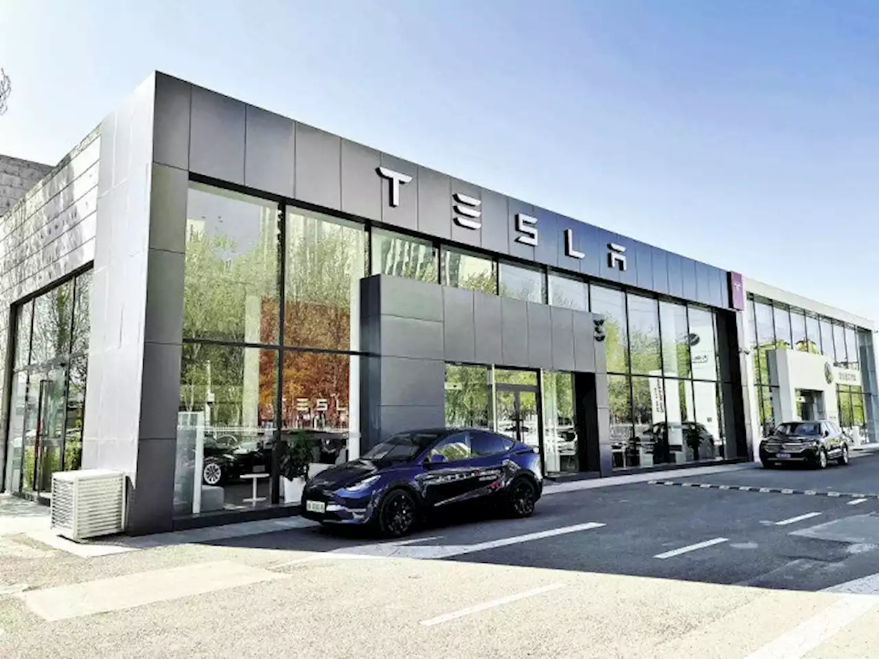 ウイグルではテスラが人気、「外車はステータスになるし米中対立は気にならないね」