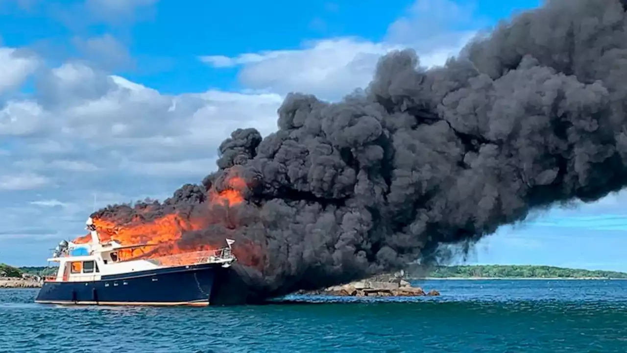 3 people, 2 dogs jump overboard as yacht burns and sinks