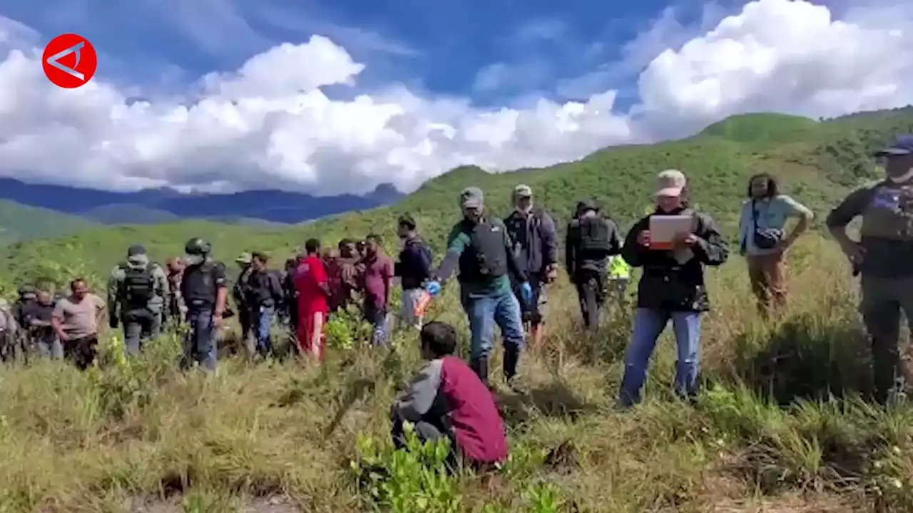 Ini kesimpulan Kapolda Papua atas pembunuh anggota Brimob di Wamena - ANTARA News