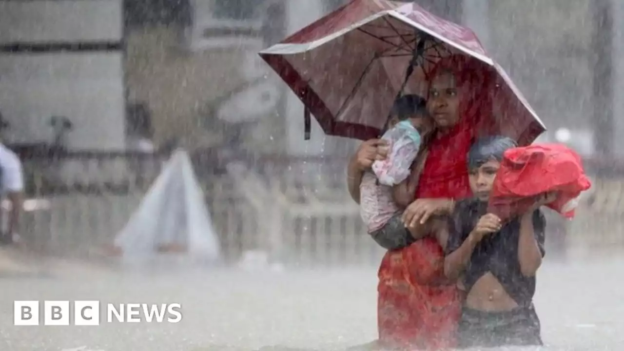 Dozens killed and millions stranded from India and Bangladesh floods