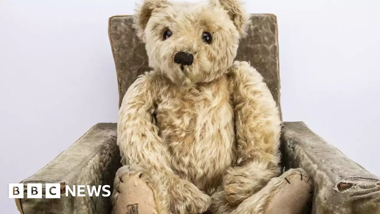 Wiltshire: Massive 60-year teddy bear collection up for auction