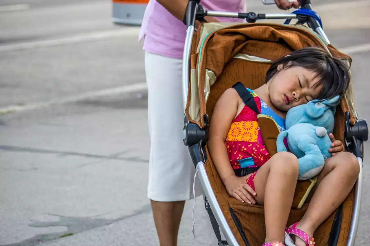 Maverick Life: The Art of The Nap