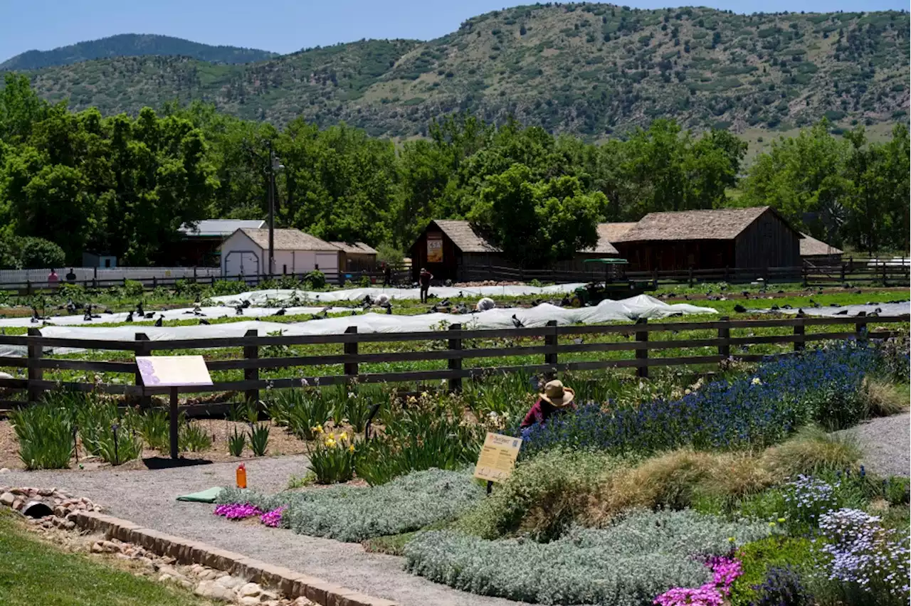 Denver Botanic Gardens plans to expand Chatfield Farms