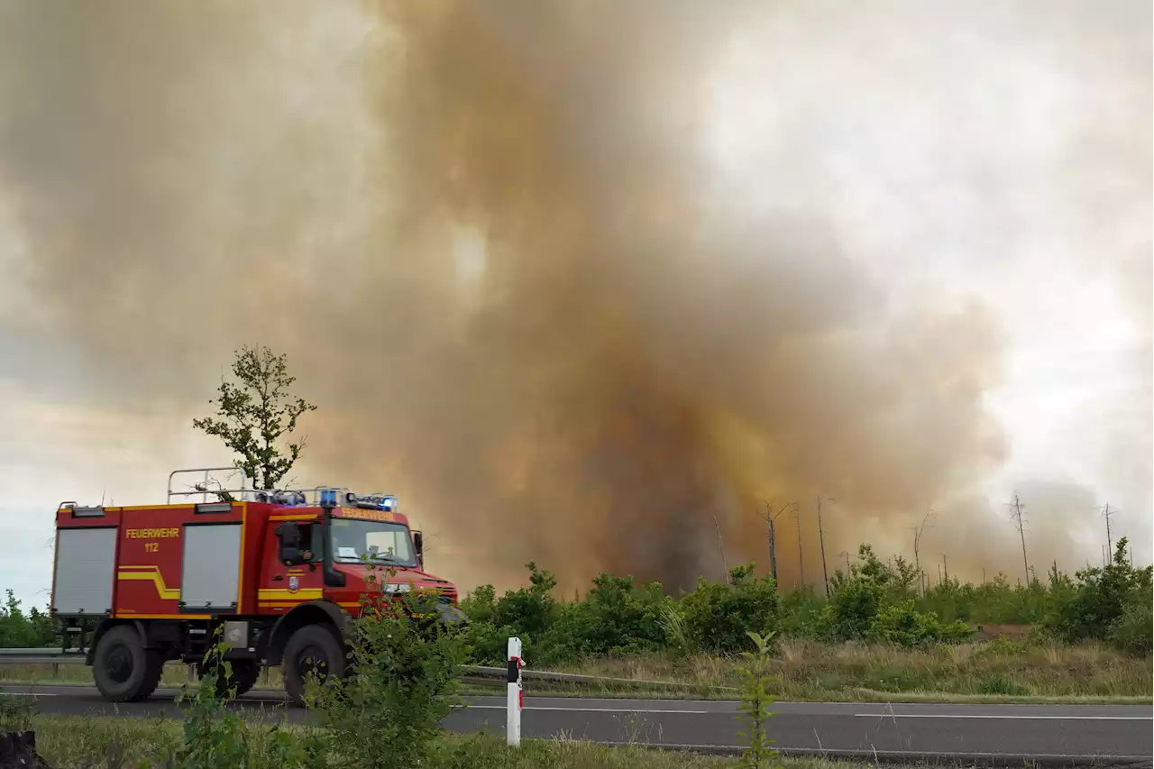 Brandenburg - Waldbrände unter Kontrolle