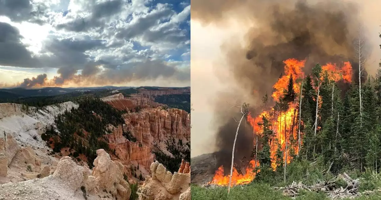 Left Fork Fire reignited in southern Utah