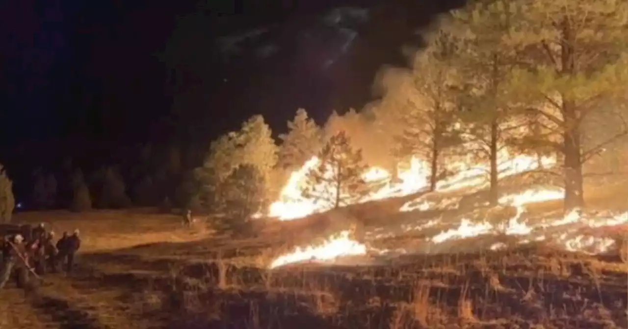 Utah County firefighters return from 2-week deployment in New Mexico