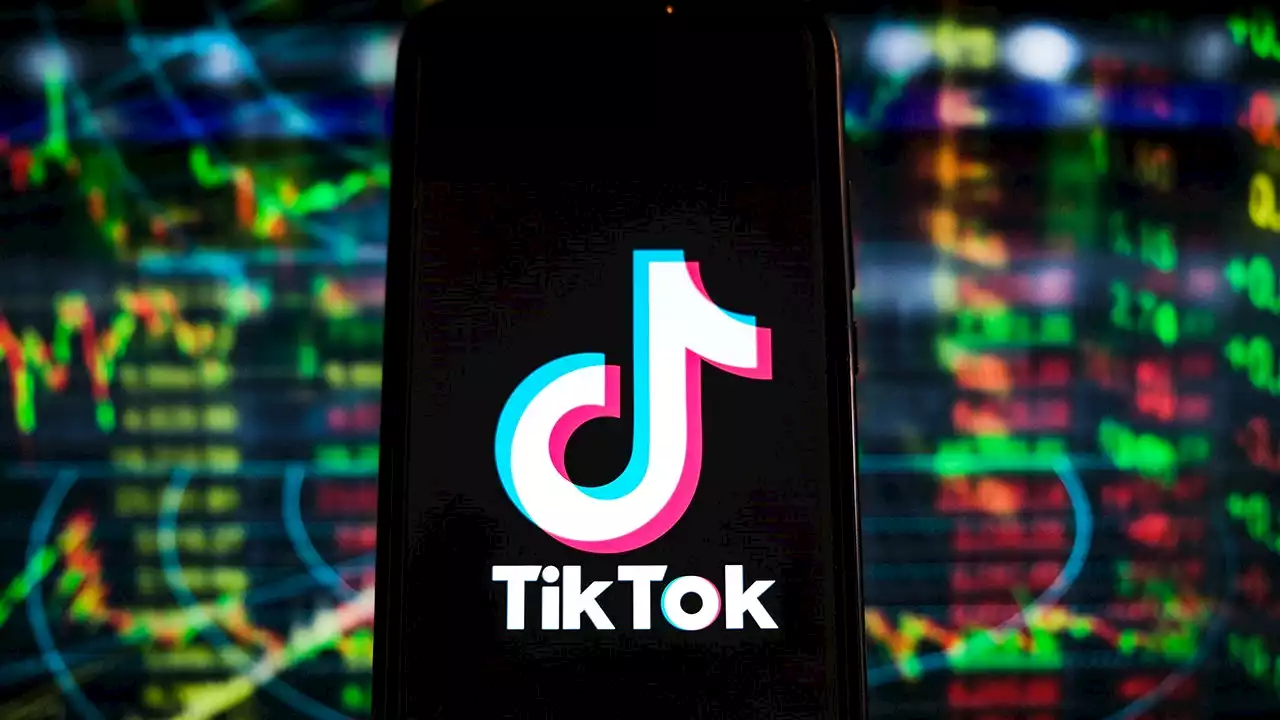 Elon Musk questions whether TikTok is 'destroying civilization'