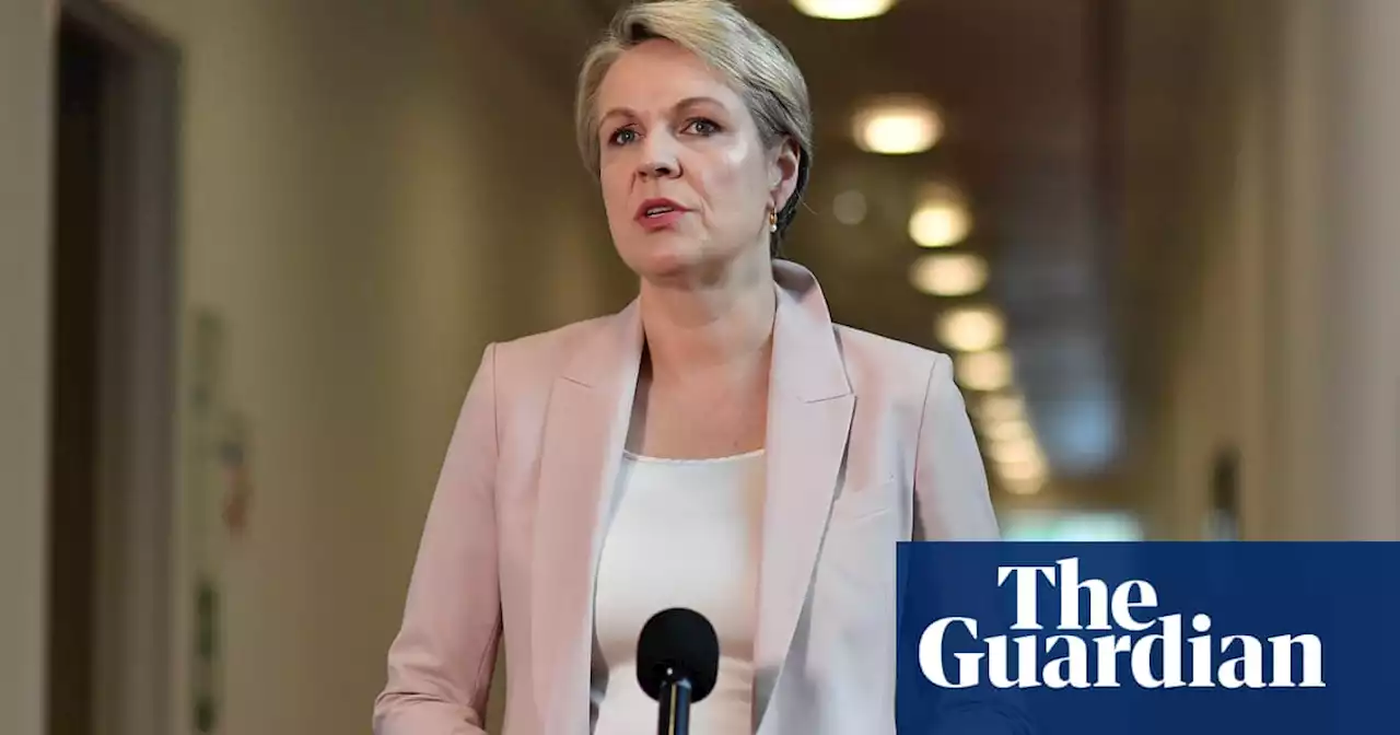 Environment report Coalition didn’t release paints ‘damning story of neglect’, Tanya Plibersek says