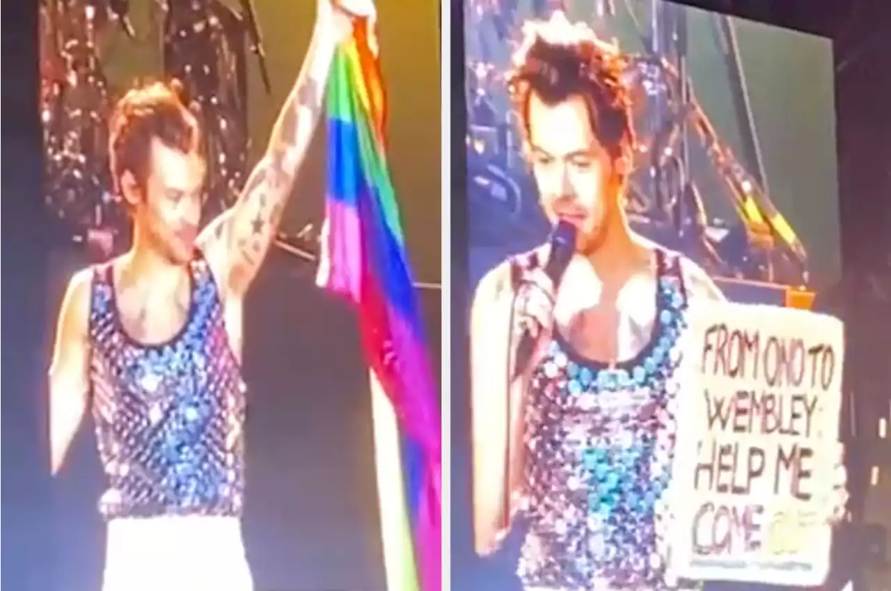 Harry Styles Has An Emotional Moment As He Helps Fan At Wembley Stadium Show To Come Out