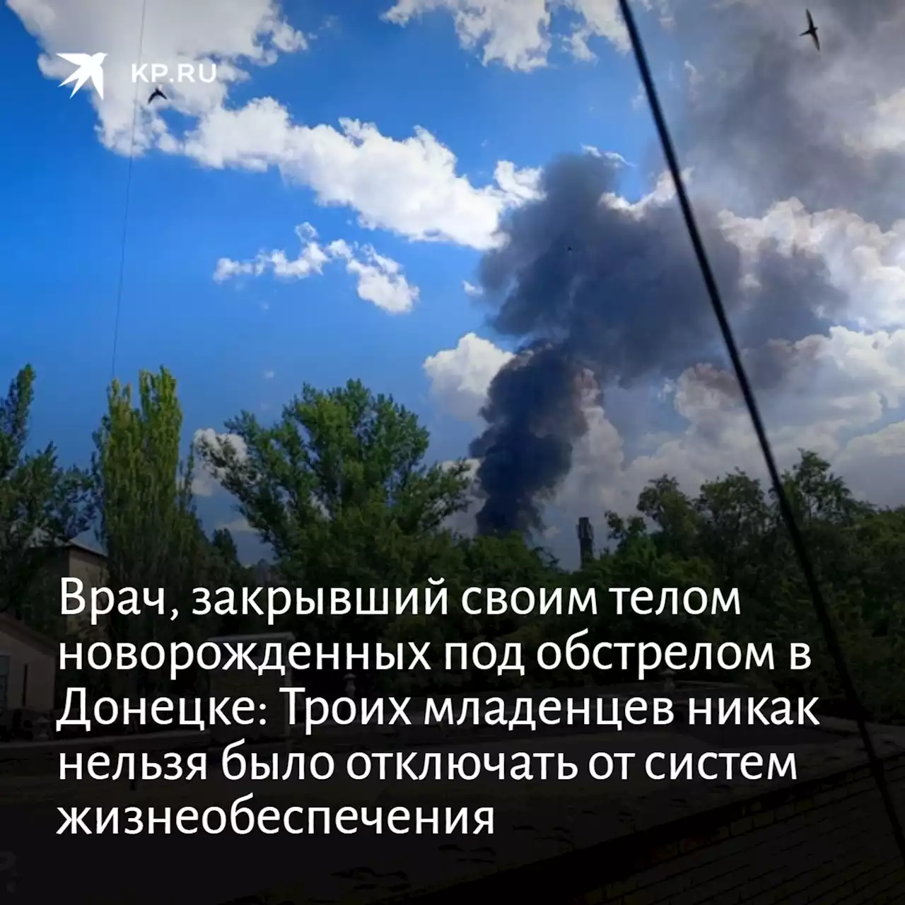 Врач, закрывший своим телом новорожденных под обстрелом в Донецке: Троих младенцев никак нельзя было отключать от систем жизнеобеспечения