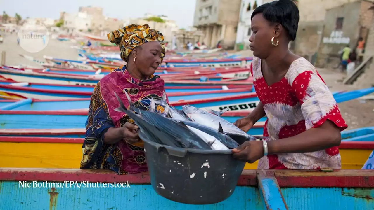 Sustainable small-scale fisheries can help people and the planet