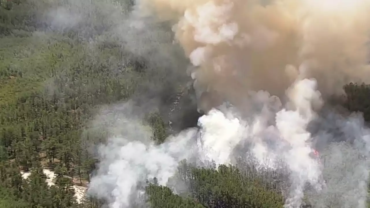 Firefighters Battle Massive Wildfire in NJ's Pine Barrens