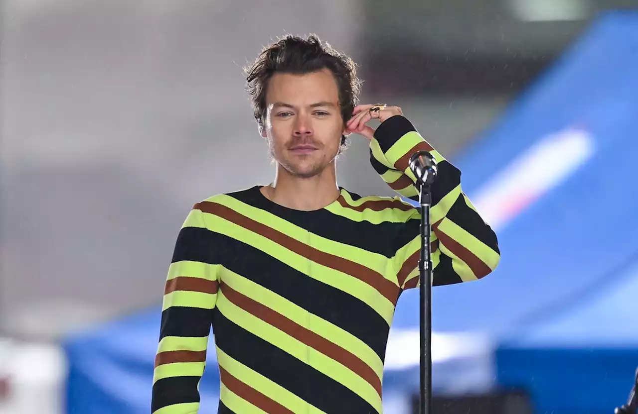 Harry Styles Helped A Fan Come Out At His Concert