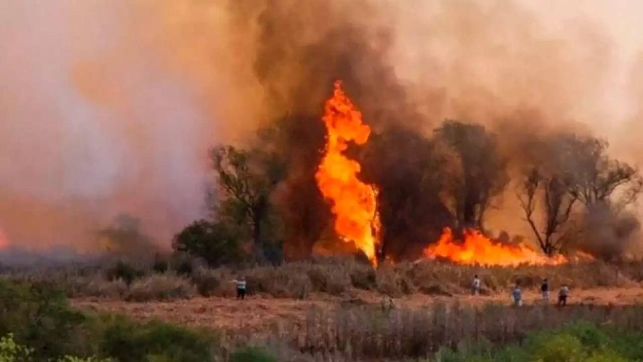 Focos de incendios forestales | Entre Ríos y Santiago del Estero