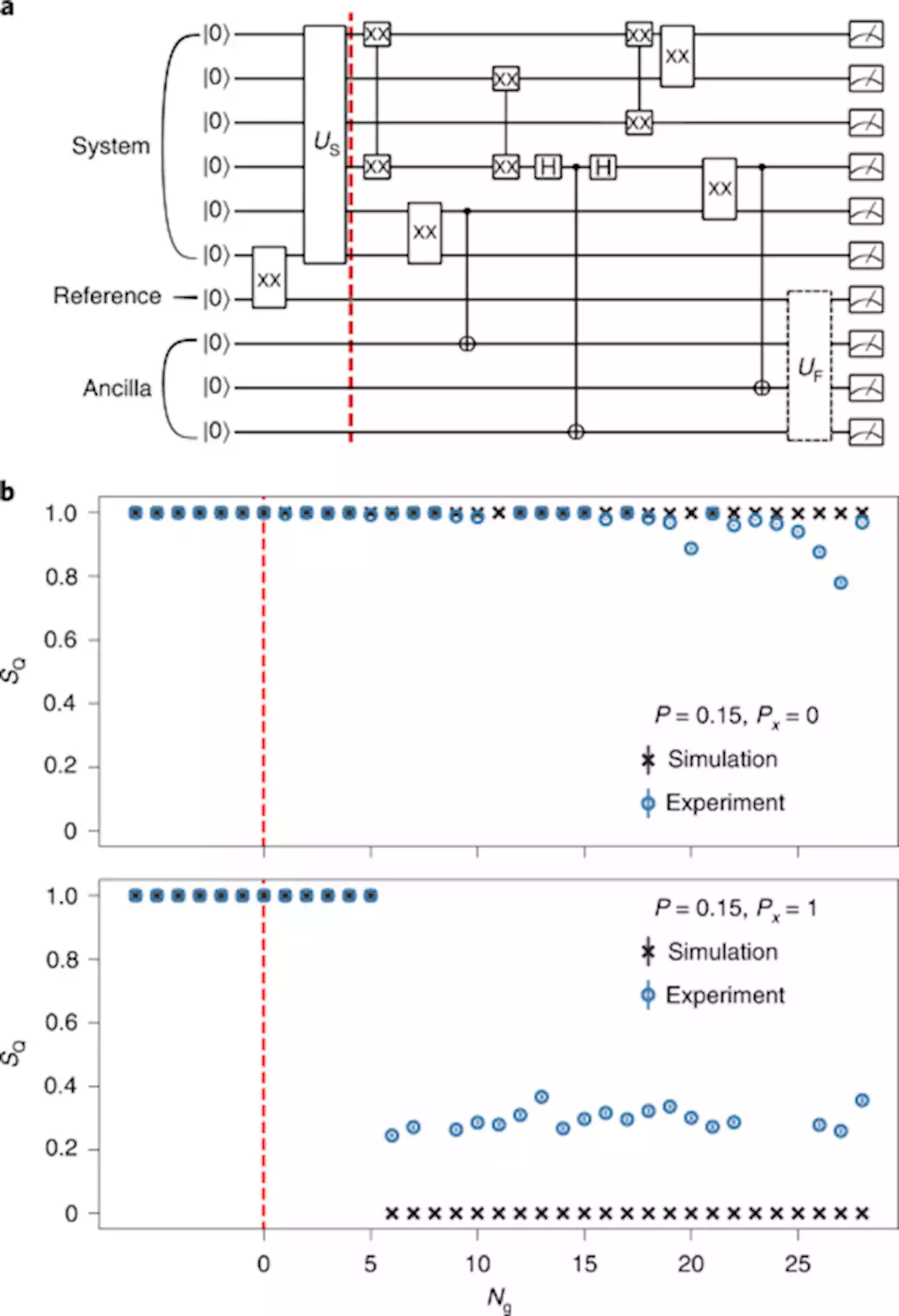 Measurement-induced quantum phases realized in a trapped-ion quantum computer - Nature Physics