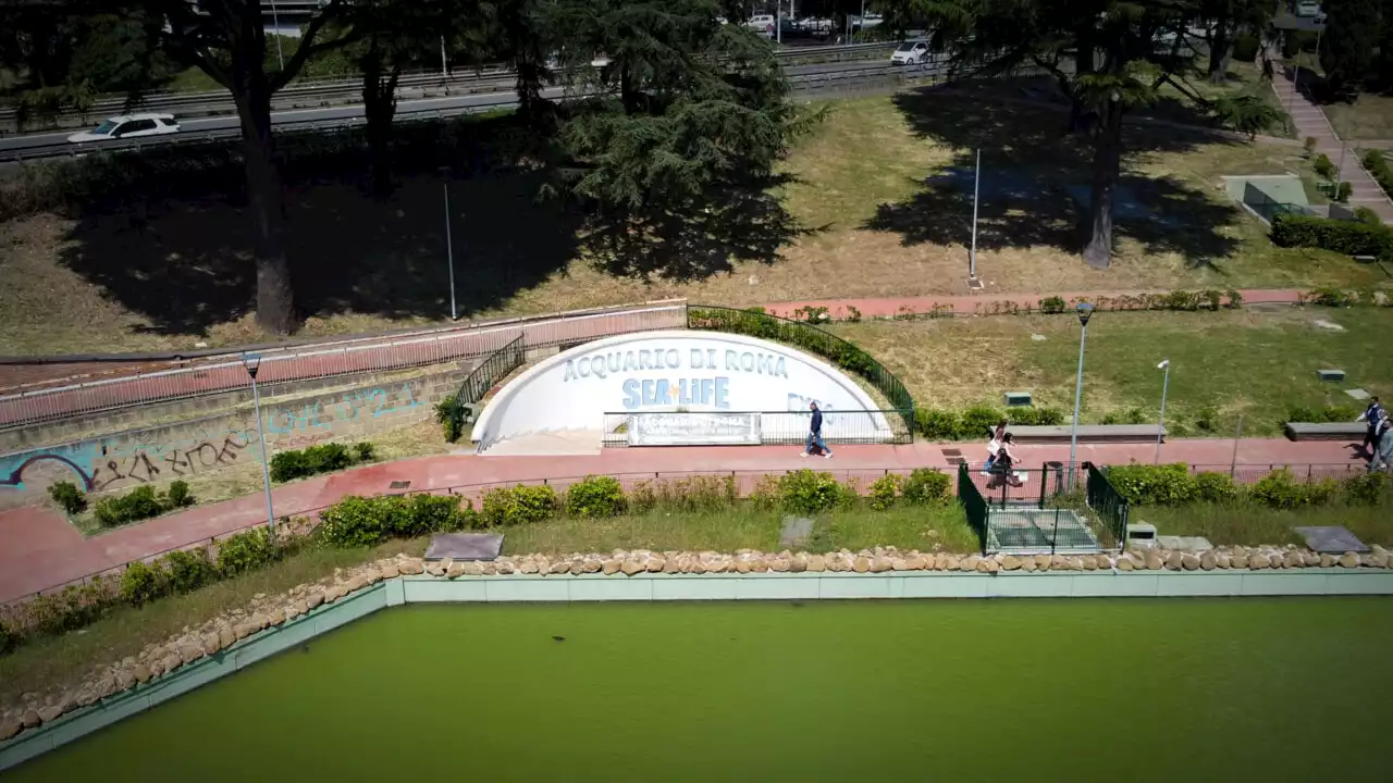 Che fine ha fatto l'acquario di Roma