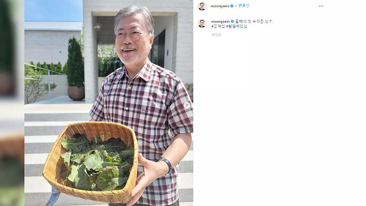 문재인 전 대통령, 인스타그램 활동 재개…'#밭일에 진심'