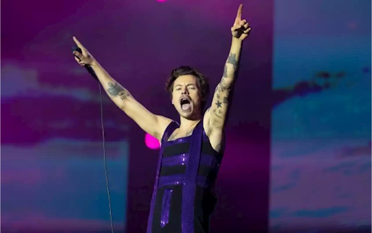 Harry Styles aiuta un fan italiano a fare coming out a un suo live