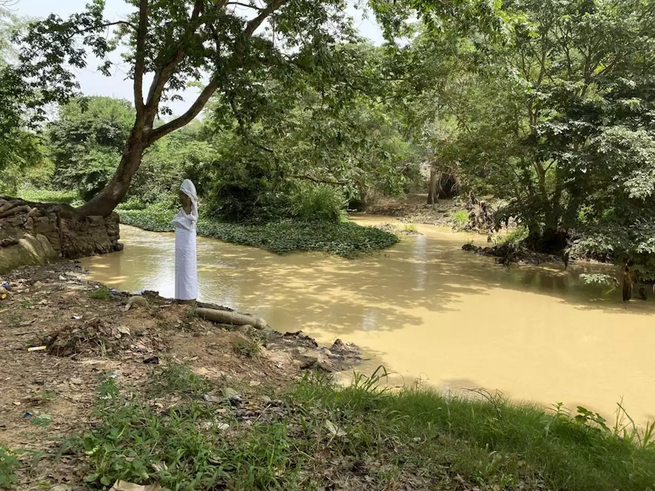 INVESTIGATION: How illegal mining fuels poverty, river pollution, sacred grove desecration in Osun