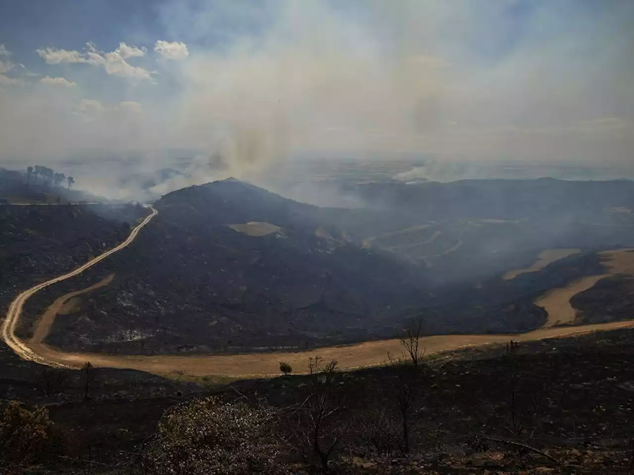 Spain, Germany battle wildfires amid unusual heat wave