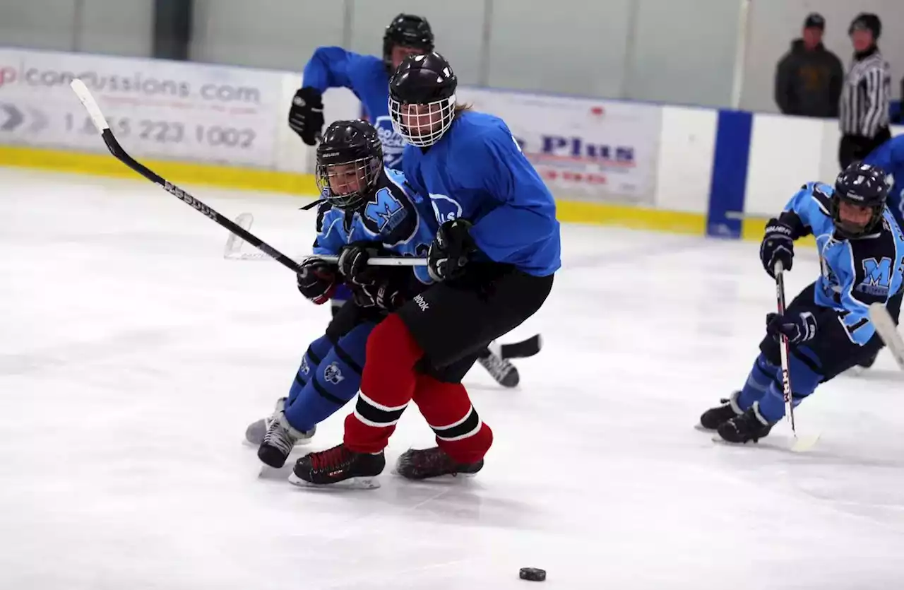 More bodychecking means more concussion risk in youth hockey: study