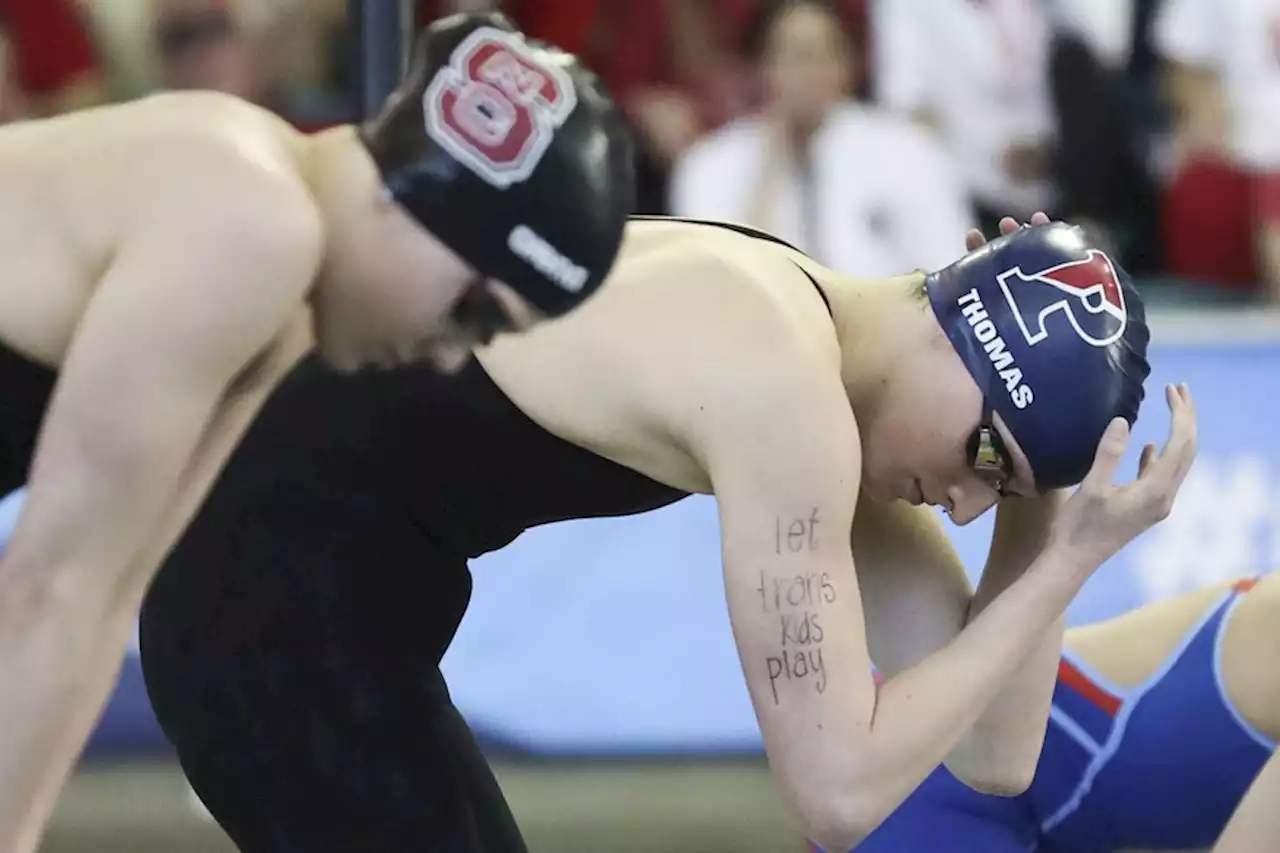 Fina: Schwimm-Weltverband beschließt neue Regeln für trans Personen