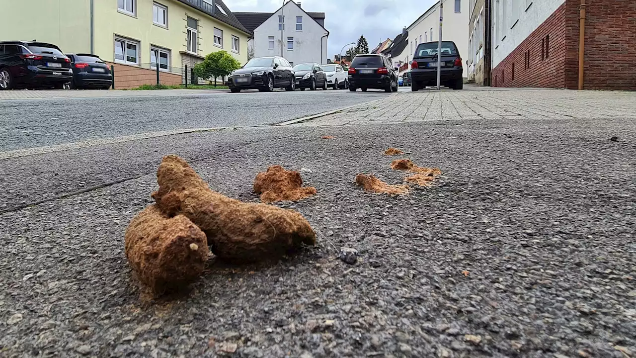 Dorsten führt Streife gegen Hundehaufen ein