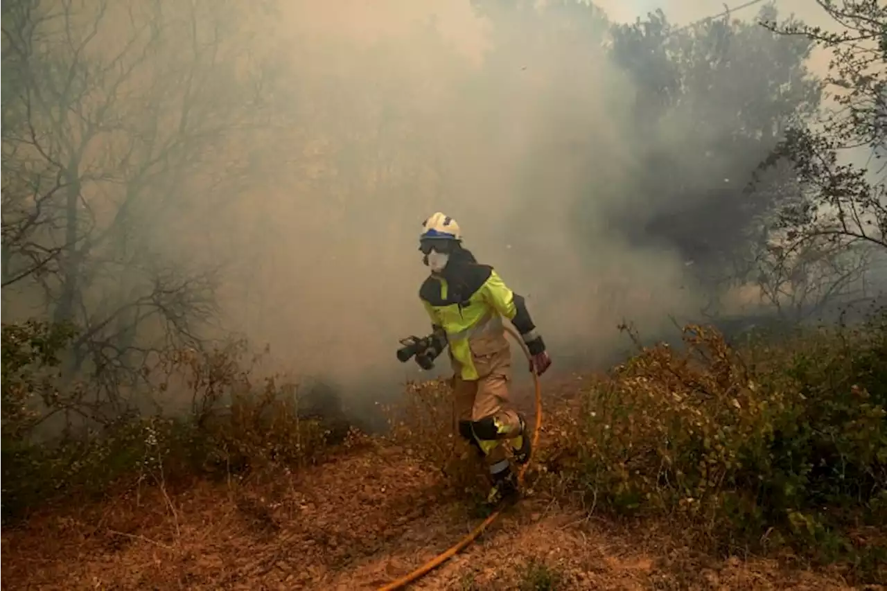 Spain, Germany battle wildfires amid unusual heat wave