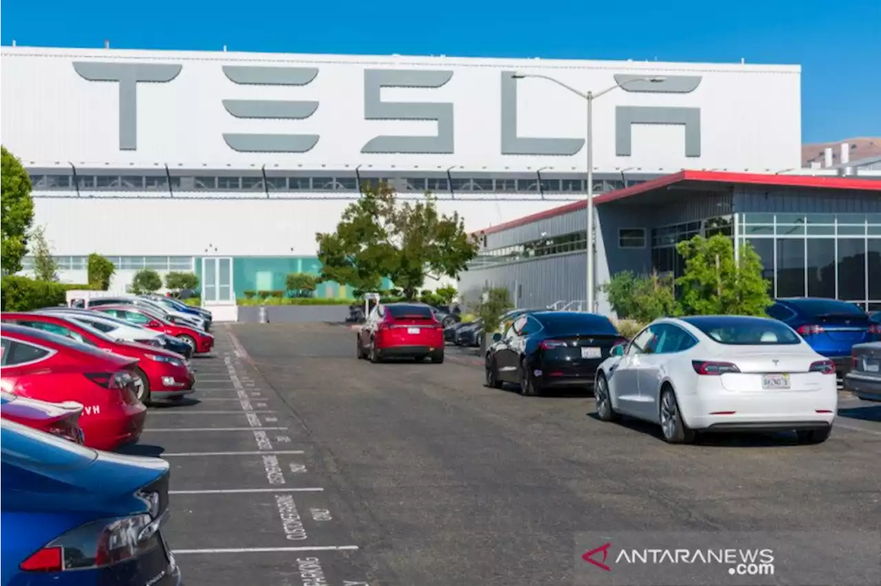 Tesla digugat mantan karyawan yang di-PHK massal