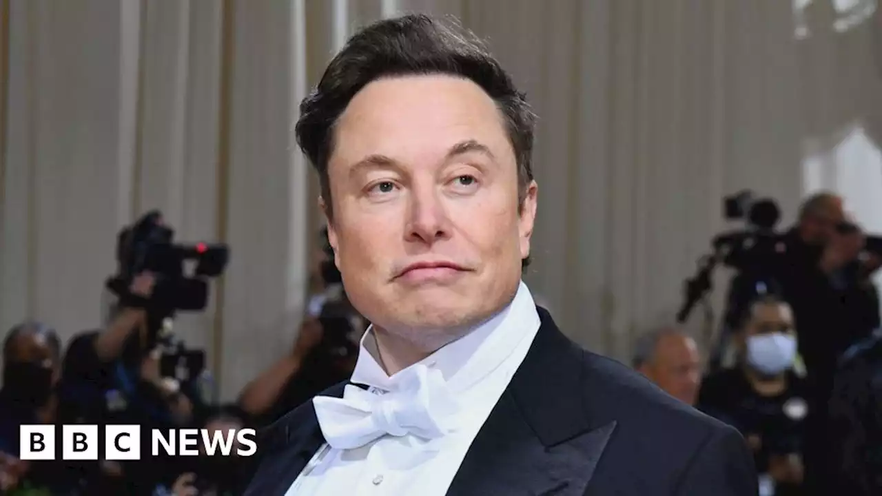 Daughter of Elon Musk cuts ties with her father