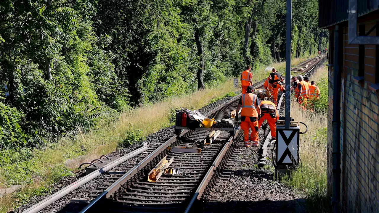 Im Südwesten Berlins bremst sich die S-Bahn selbst aus