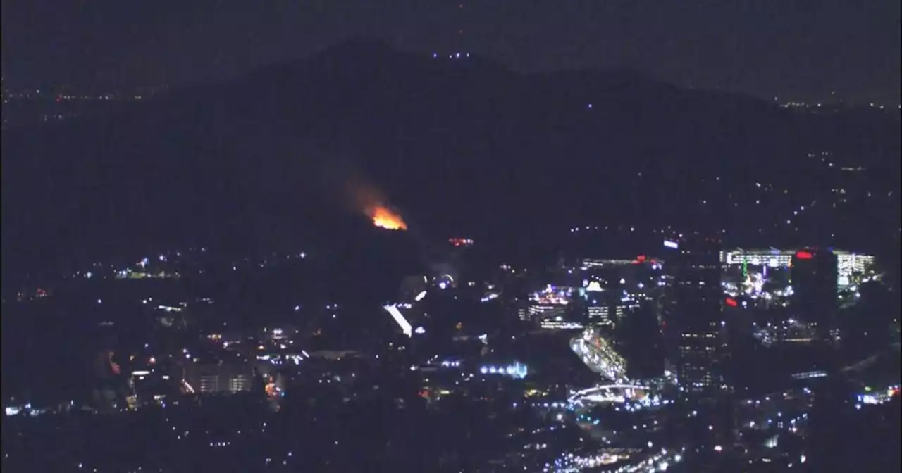 LAFD battling brush fire near Hollywood Hills