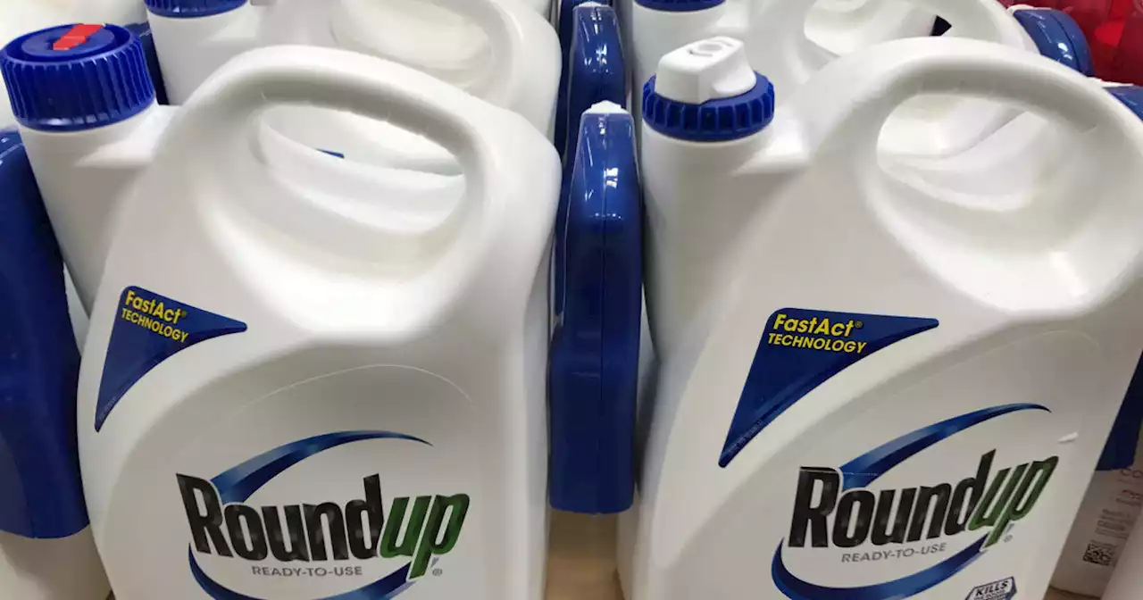 Supreme Court rejects Bayer bid to block Roundup lawsuits