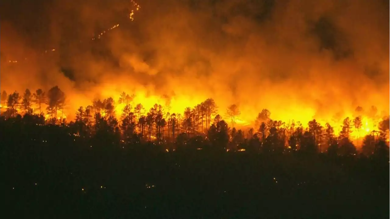 Wildfire In Wharton State Forest In South Jersey Burns At Least 11,000 Acres, Forces Several Closures