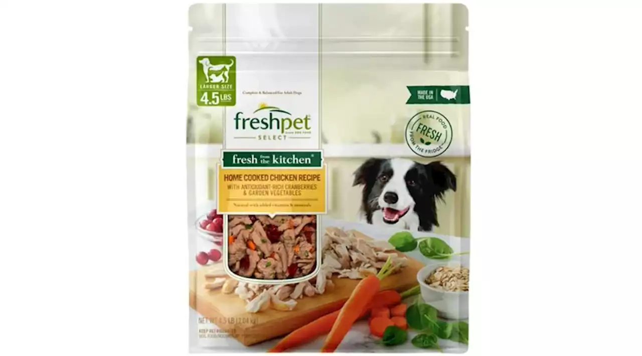 Dog food recalled over salmonella concerns