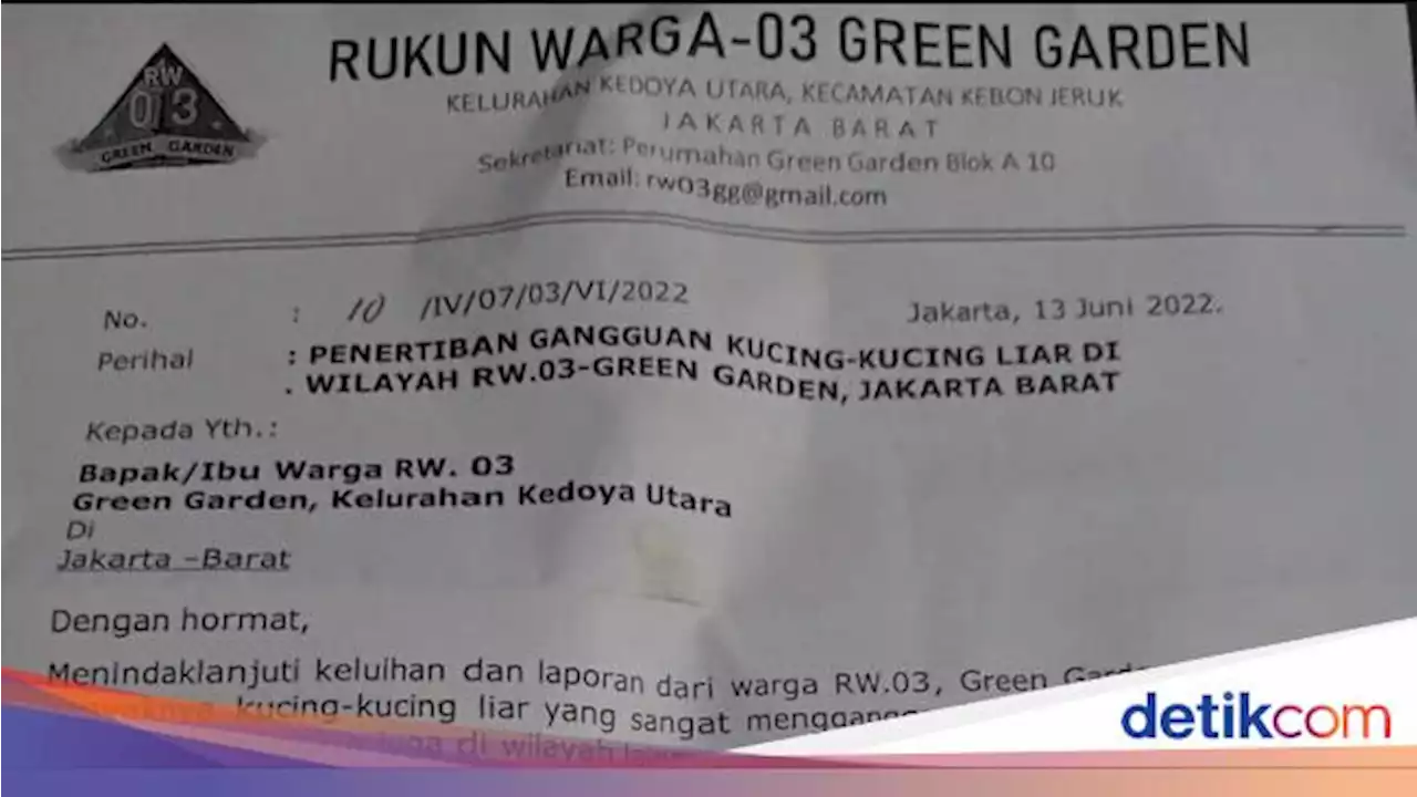 Viral Surat Edaran RW di Jakbar Larang Warga Beri Makan Kucing Liar