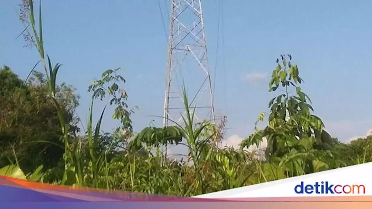 4 Proyek Listrik di Kalbar Kelar, PLN Bisa Hemat Rp 15 M/Bulan