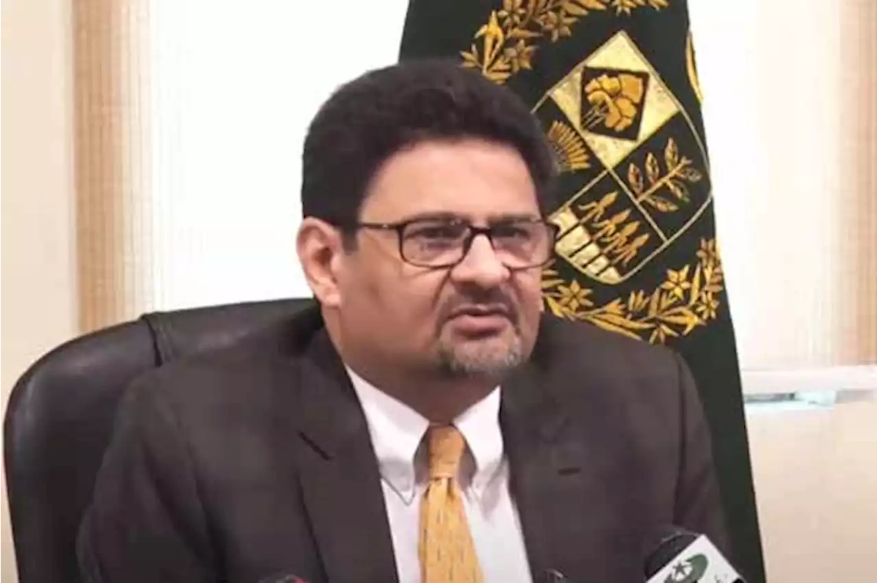 ایک وقت میں آئی ایم ایف پروگرام اور ایندھن کی سبسڈی نہیں رکھ سکتے: مفتاح اسماعیل