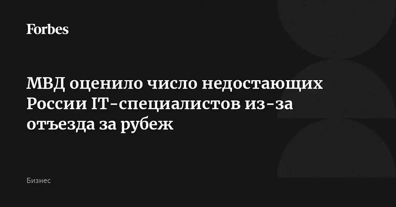 МВД оценило число недостающих России IT-специалистов из-за отъезда за рубеж