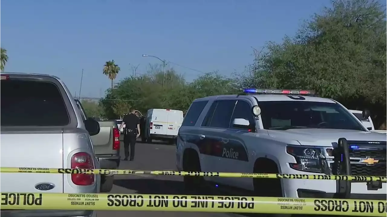 2 men, woman killed in double-murder suicide in Phoenix: police