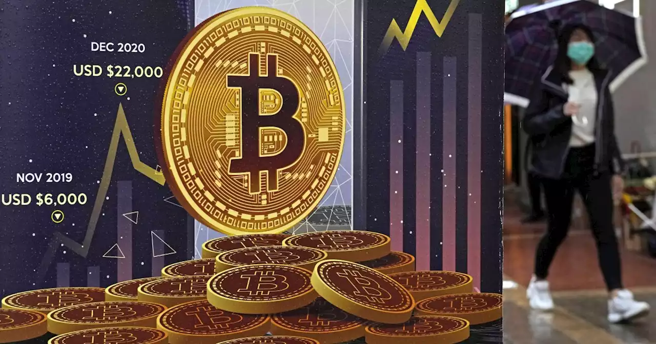 Crypto investors' hot streak ends as harsh 'winter' descends