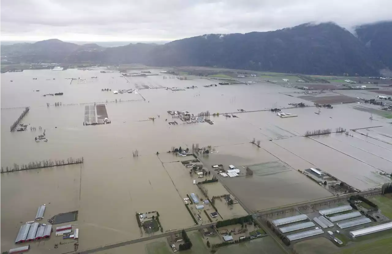 B.C. releases long-awaited climate adaptation plan