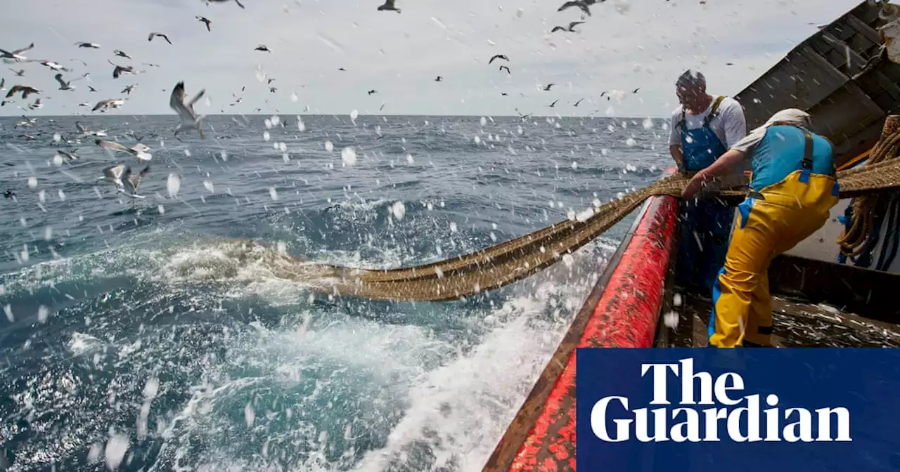 First WTO deal on fishing subsidies hailed as historic despite ‘big holes’