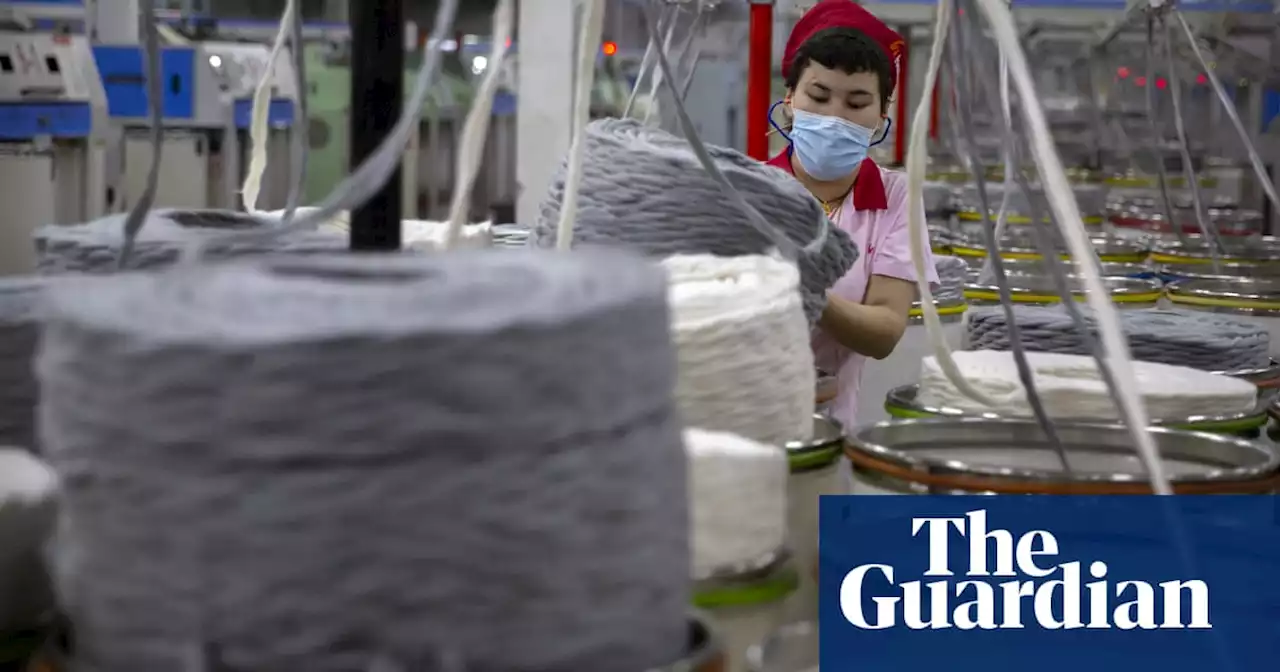 US ban on cotton from forced Uyghur labour comes into force